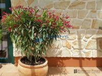 Sandstein Verblender, Bruchsteinverkleidung, Mauerverblender, Steinverblender, Riemchen